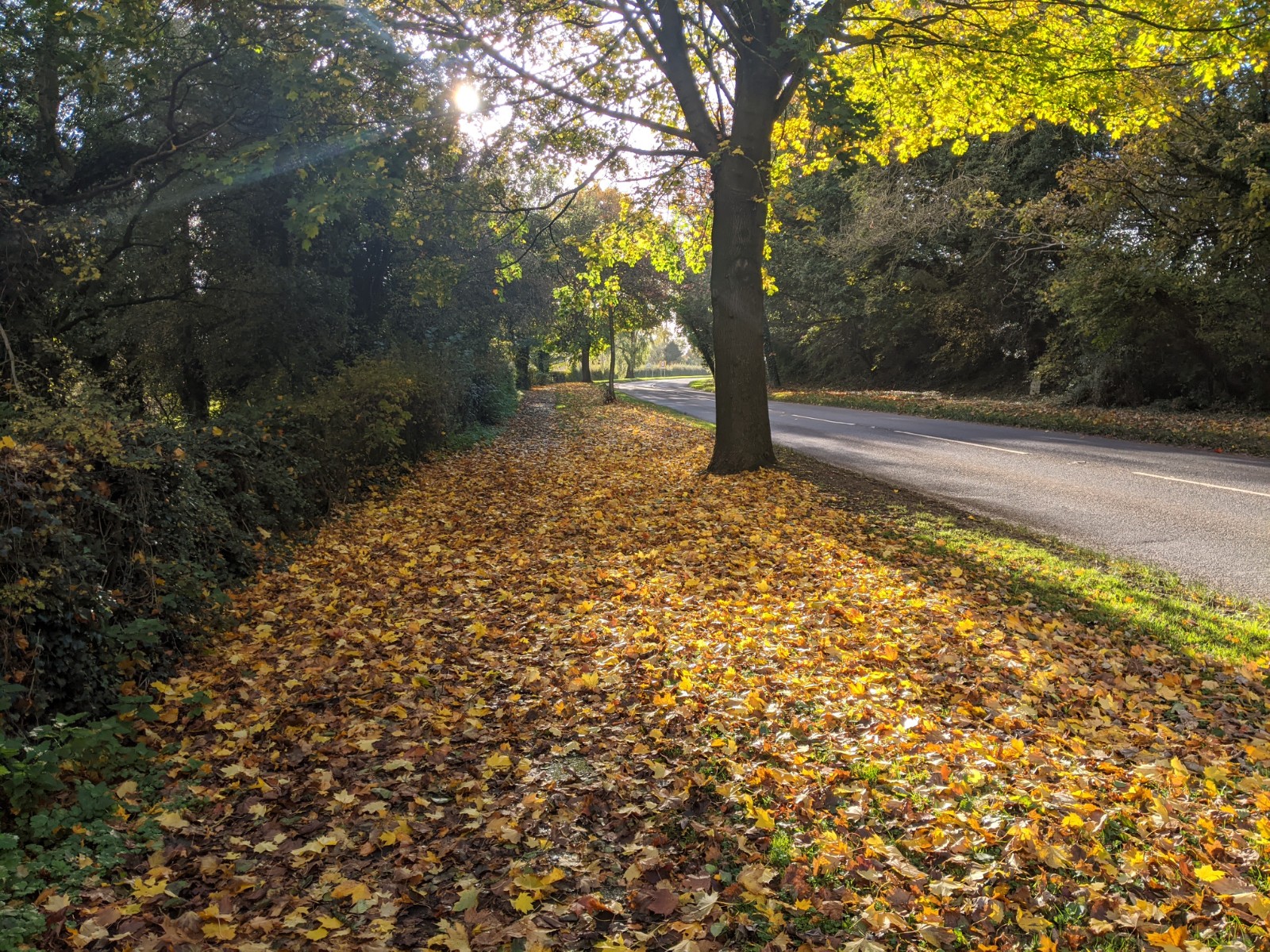 Northern approach to the village, October 26th